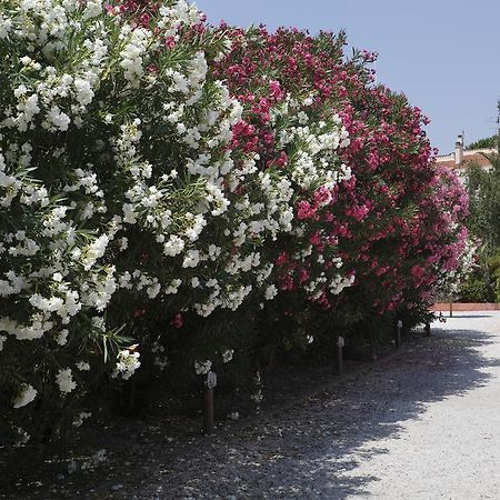 אלניה Vacanceole - Residence Las Motas מראה חיצוני תמונה